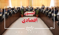 فرزین عملکرد بانک مرکزی در کنترل بازار ارز را موفق عنوان کرد